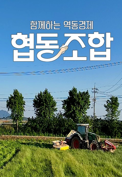 함께하는 역동경제, 협동조합